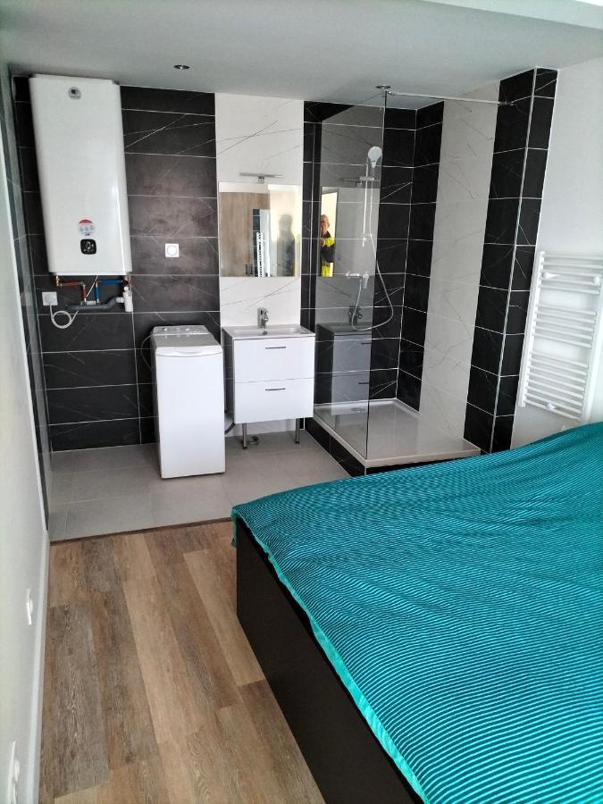 Appartement 2 Pieces Rive-de-Gier ภายนอก รูปภาพ